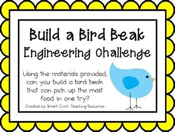 It must remain upright at all times. . Build a bird beak engineering challenge